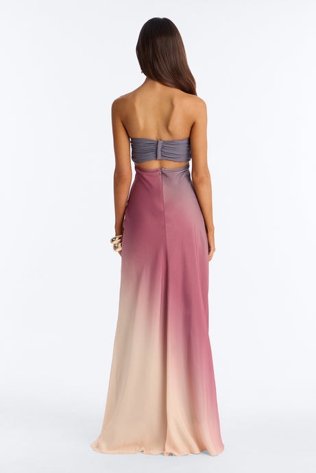 Zionna Strapless Maxi Dress - Plum/Multi